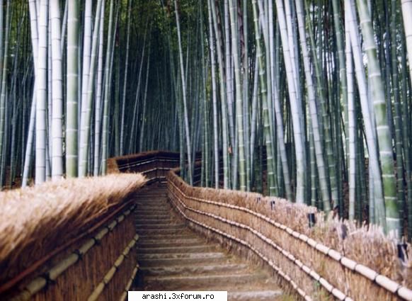 pozele mele preferate <3 - matsumoto - ~Poze si locuri din Japonia~