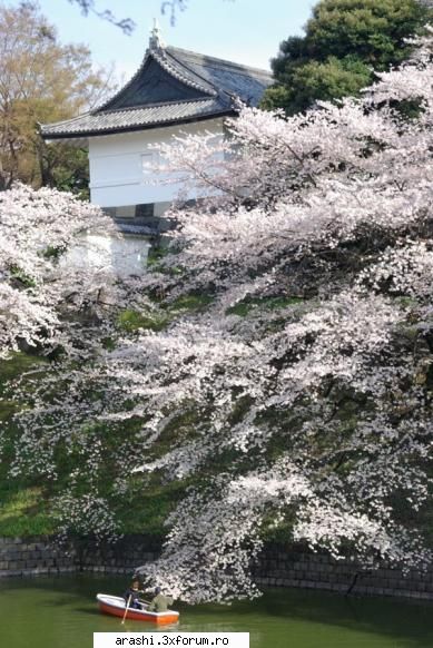 pozele mele preferate <3 - matsumoto - ~Poze si locuri din Japonia~
