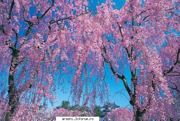 pozele mele preferate <3 - matsumoto - ~Poze si locuri din Japonia~